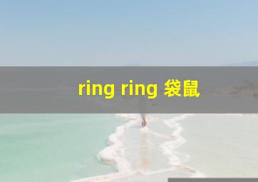 ring ring 袋鼠